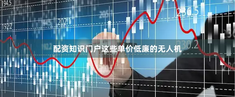 配资知识门户这些单价低廉的无人机