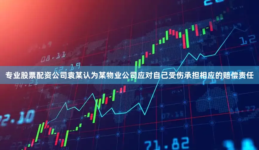 专业股票配资公司袁某认为某物业公司应对自己受伤承担相应的赔偿责任