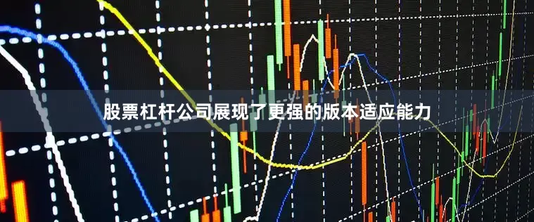 股票杠杆公司展现了更强的版本适应能力
