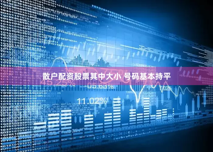 散户配资股票其中大小 号码基本持平