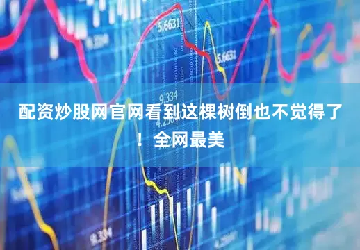 配资炒股网官网看到这棵树倒也不觉得了！全网最美